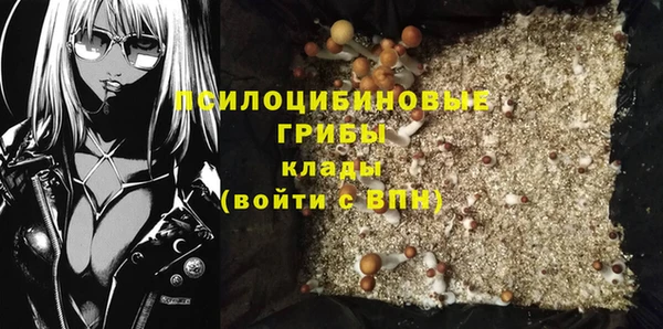 экстази Белая Холуница