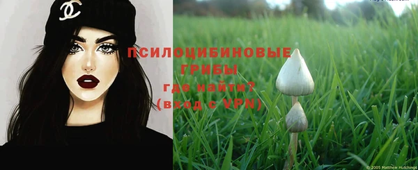 мдма Бородино